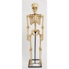 BrylaneHome 5' Pre-Lit Life-Sized Skeleton - 2 of 2