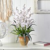 Nearly Natural Dancing Lady Artificial Orchid Arrangement, White - 4 of 4