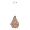 Livex Lighting Aberdeen 1 - Light Pendant in  Rose Gold - 4 of 4