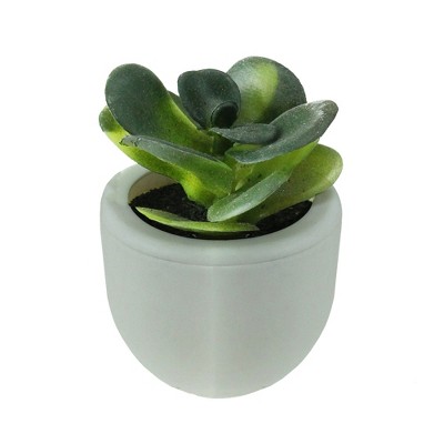 Northlight 3" Succulent Artificial Potted Plant Table Top Decoration - Green/White