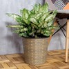 NAYSAYE Wicker Planter for Indoor Outdoor Plants Flowers Herbs with Built In Reservoir for Easy Care, Natural, 10.2"*10.2"*9.4" - 2 of 4