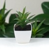Unique Bargains Artificial Plants Plastic Green 2.2"x2.2"x2.56" 1 Pcs - 2 of 4