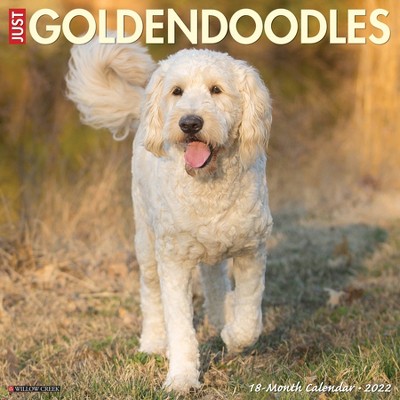 2022 Wall Calendar Just Goldendoodles - Willow Creek Press