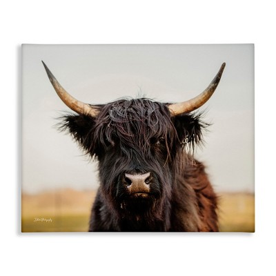 Stupell Industries Black Highland Cow Portrait, 40" x 30"