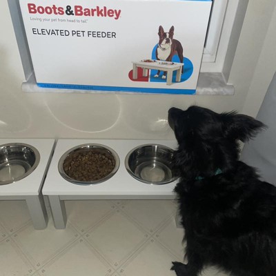 Modern Tall Metal Elevated Dog Bowl With Natural Wood Top - Black - Boots &  Barkley™ : Target