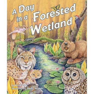 A Day in a Forested Wetland - by  Kevin Kurtz (Hardcover)