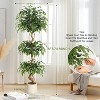 Artificial Ficus Tree with Curved Trunks in White Planter, Faux Indoor Plant for Living Room, Office or Home Decoration - 2 of 4