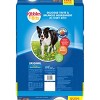 Kibbles 'n Bits Original Savory Beef & Chicken Flavors Adult Complete & Balanced Dry Dog Food - 2 of 4