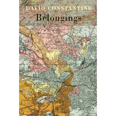 Belongings - by  David Constantine (Paperback)