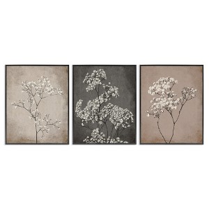 Stupell Industries Botanical Baby's Breath Herbs, 16" x 20" - 1 of 4