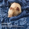 Bedsure- Cloud Soft PV Blanket ,Comfy Plush and Furry Faux Fur - 3 of 4