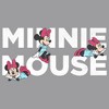 Boy's Disney Playful Minnie Pull Over Hoodie - 2 of 4