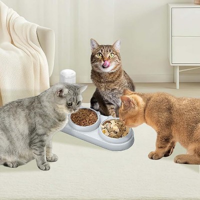 Akoasm 15¡ã Tilted 3-in-1 Cat Bowl Set with Automatic Water Dispenser & Stainless Steel Bowl for Indoor Cats & Small to Medium Dogs-Gray