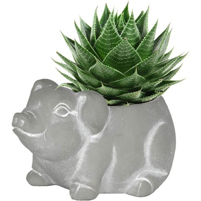 Small Gray Cement Piglet Indoor/Outdoor Planter with Drainage Hole