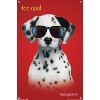 Trends International Keith Kimberlin - Dalmatian Puppy - Too Cool Unframed Wall Poster Prints - 4 of 4