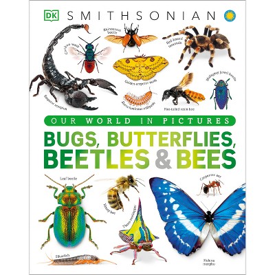 Our World in Pictures Bugs, Butterflies, Beetles and Bees - (DK Our World in Pictures) by  DK (Hardcover)