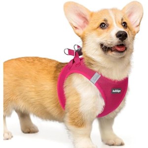 rabbitgoo Small Dog Harness, Step-in Soft Mesh Puppy , Breathable Reflective Pet Harness for Small Medium Dogs, Rose Red L - 1 of 1