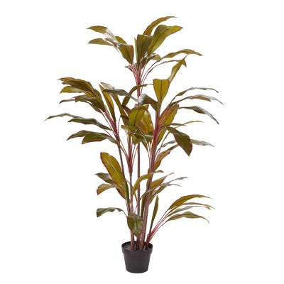 Nature Spring 59-Inch Artificial Cordyline Plant