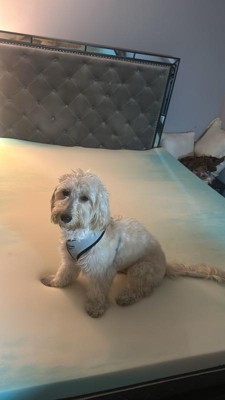 Guest review image 1 of 1, zoom in