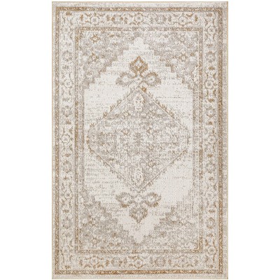 Nourison Washable Astra Vintage Persian Indoor Flatweave Area Rug