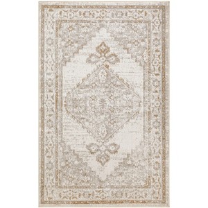 Nourison Washable Astra Vintage Persian Indoor Flatweave Area Rug - 1 of 4