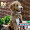 Country Brook Petz® Deluxe Dog Collar - Country and Western Collection - Made In The U.S.A. - 3 of 4