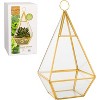 D'Eco Hanging Glass Pyramid Plant Terrarium - Indoor Tabletop Gold Geometric Planter Terrarium for Succulents, Air Plants, Moss - Home & Office Decor - 2 of 4