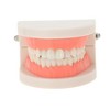 Unique Bargains Fake Teeth Grills Fashion Zircon Single Strip for Hip Hop Gift 1 Set - 2 of 4