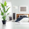 Acekool 5.2ft Artificial Bird of Paradise Plant with 2 Vibrant Flowers and 23 Realistic Leaves, Faux Tropical Plant for Home and Office Décor - 2 of 4