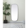 Elegant Lighting Metal Frame Oval Mirror 24x60 Inch in Silver - 2 of 4