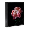 Stupell Industries Dark Rose Photography, 17" x 17" - 3 of 4