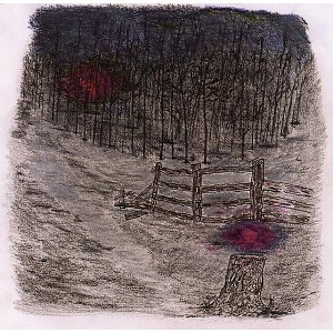 Telepathe - Farewell Forest (CD) - 1 of 1