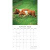 2026 Square Wall Calendar, Piggies, 16-Month Animals Theme with 180 Reminder Stickers (12x12 In) - 3 of 4