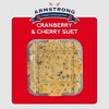 Armstrong Wild Bird Food Cranberry and Cherry Suet Cake, 11.3oz (Pack of 12) - 3 of 4