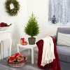 HomeStock  3 ft. Artificial Pine Tree in Planter for Indoor/Outdoor - 4 of 4