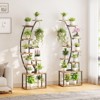 Plant Stand with Grow Light, 9 Tiered Tall Plant Stands Indoor, 62" Plant Shelf for Indoor Plants Multiple - 2 of 4