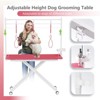47inch X-Lift Dog Grooming Table with Adjustable Height, Mesh Tray, Tool Organizer & Noose – Foldable Pet Grooming Station for Home Use - 4 of 4