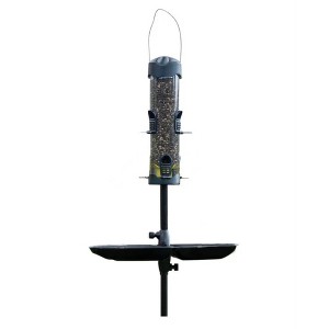 Brome Mega 600 Bird Feeder, Podium, and Pole, 6ft - 1 of 2