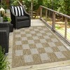 Playa Rug Daisy Rectangle Woven Indoor Outdoor Rugs - 2 of 4