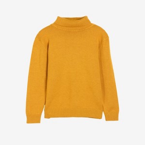 X RAY Boy's Basic Turtleneck Sweater - 1 of 4