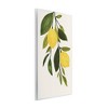 Stupell Industries Simple Yellow Country Lemon Leaf Wall Plaque Art, 13" x 19" - 2 of 4