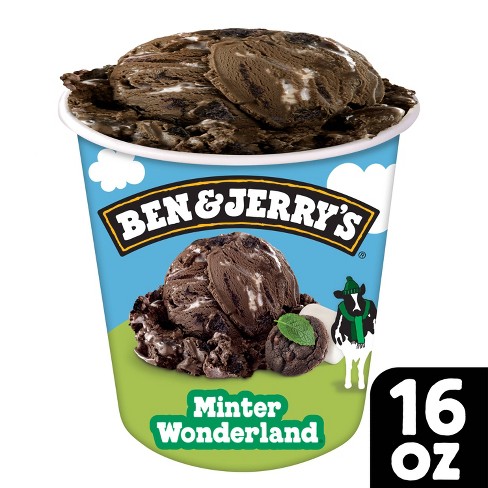 Ben & Jerry's Minter Wonderland Dark Chocolate Mint Ice Cream - 16oz - image 1 of 4