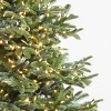 Balsam Hill 6.5' Clear LED European Fir Tree - 3 of 4