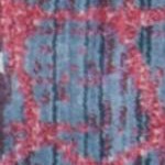 blue/fuchsia
