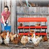 Coucheta Metal Nesting Boxes for Chickens, 8 Hole Roll Away Chicken Laying Boxes for Hens with Lid Cover, Protect Eggs, Easy Egg Collection & Clean - 2 of 4