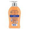 Softsoap Fall Seasonal Liquid Hand Soap - Pumpkin - 11.25 fl oz - 2 of 4