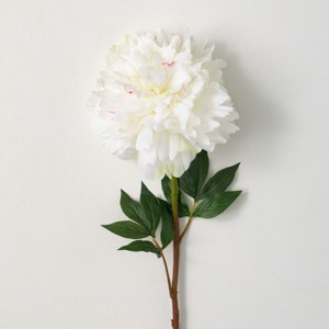 34"H Sullivans Soft Cream White Peony, Cream - 1 of 2