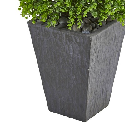 57" Green Eucalyptus Topiary in Slate Planter