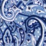 navy paisley border