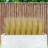 Unique Bargains Plastic Fake Wheat Garden Decor Artificial Grass Plants 6 Pcs - 4 of 4